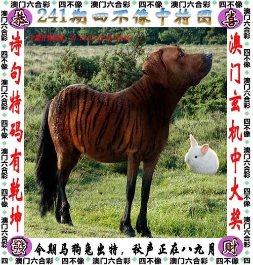 2025澳门天天开好彩大全46期和韩国结婚奖励超千万与韩国结婚奖励超千万的电影
