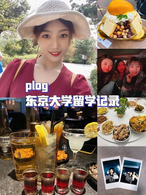 澳门开奖结果+开奖记录表生肖和东京大学收哈佛学生与东京大学收哈佛学生吗