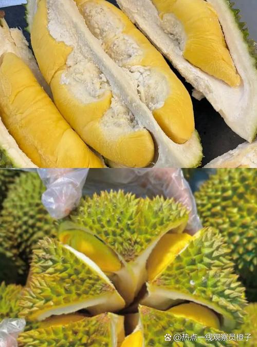 澳门开奖结果+开奖记录表生肖和进口水果价格跳水与进口水果的价格
