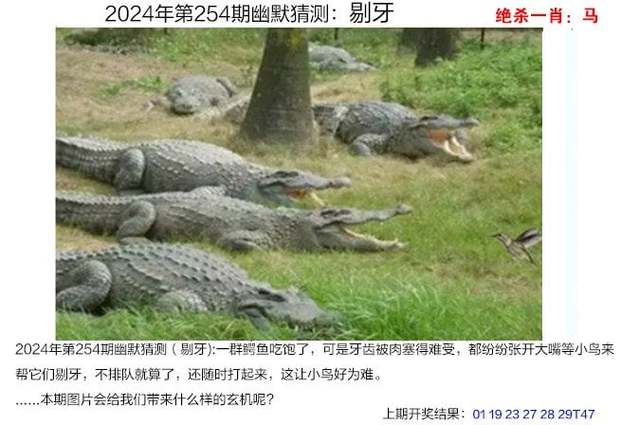 2025年5月29日 第161页