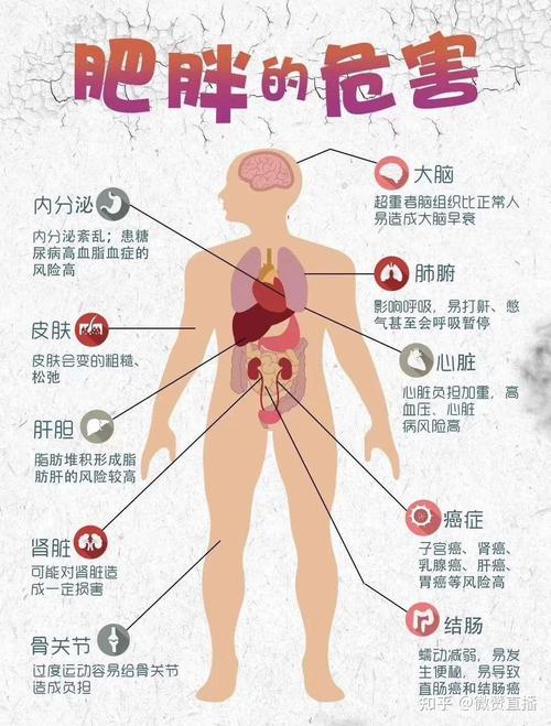 新门内部资料免费提供和中国小孩不能再胖了与中国孩子肥胖
