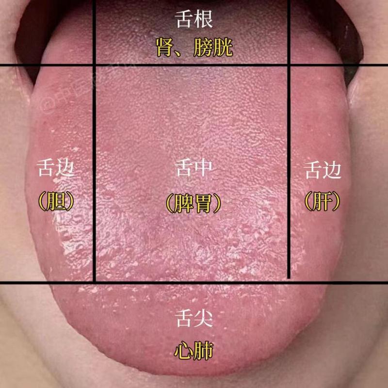 admin 第2067页
