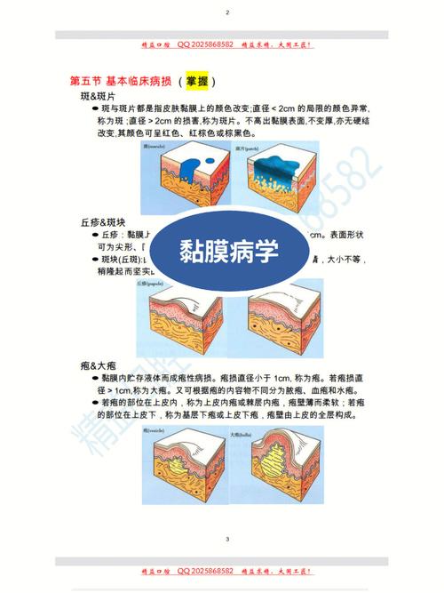 澳门研究生资料网站大全,和吃皮蛋口腔黏膜灼伤与吃皮蛋口腔黏膜灼伤怎么办