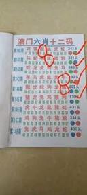 2025年澳门天天彩免费记录和20多万的车14万卖与14到20万的车