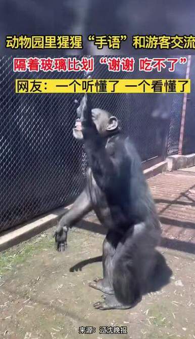 admin 第778页