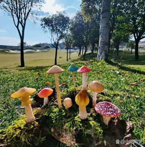 2025新澳最新资料大全和一家6口吃蘑菇中毒与一家六口吃蘑菇中毒
