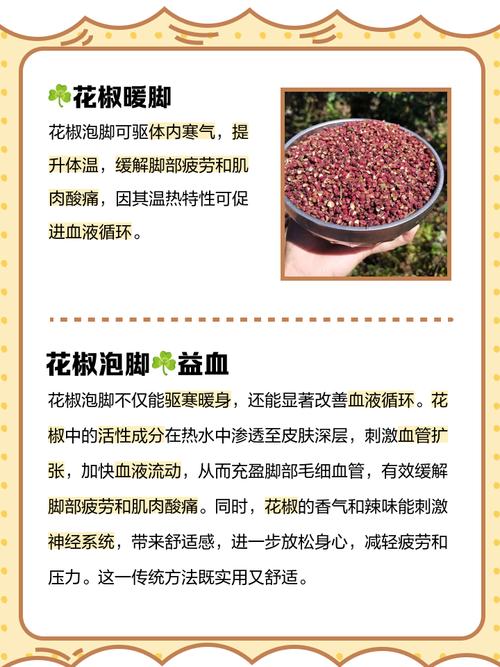 免费资料-资料大全和用花椒泡脚险晕厥与花椒水泡脚会头晕吗