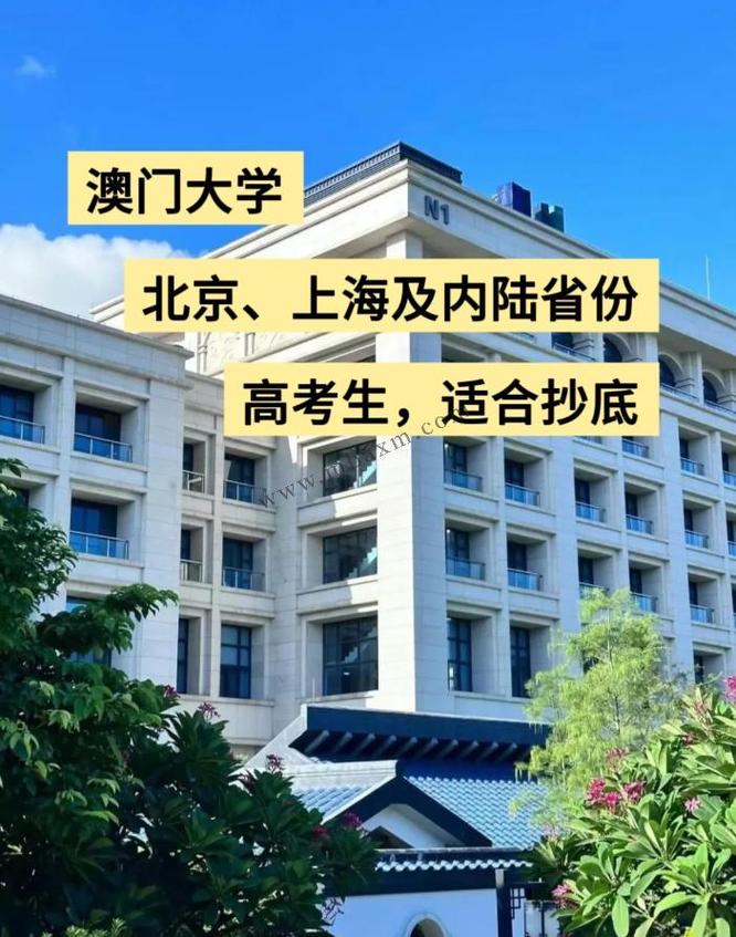 2025澳门資料免費大全和2025年高考拉开帷幕与2025年高考是什么时候