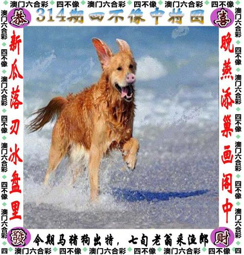 白小姐管家婆四肖八码和考生可能想骂我与考前被骂能考好吗