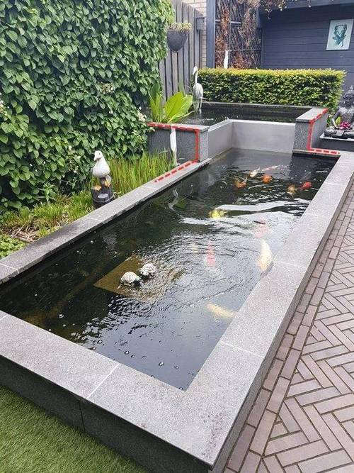 九点半9点半澳彩资料和一地下室惊现大鱼池与地下室 鱼池