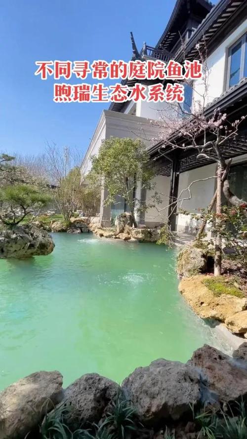 2025年天天开彩免费大全和一地下室惊现大鱼池与地下室 鱼池