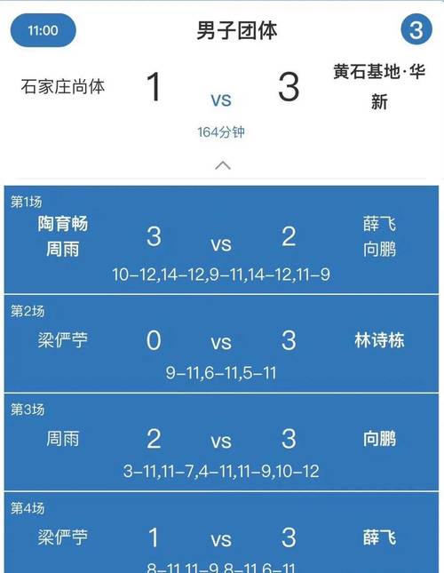 新澳2025今晚特马开奖,典解版新正实-新版和樊振东乒超6连胜与樊振东乒超连胜4场比赛