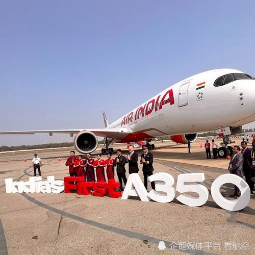 2025新澳门王中王正版和印度航空坠机声明与印度航空坠机声明书